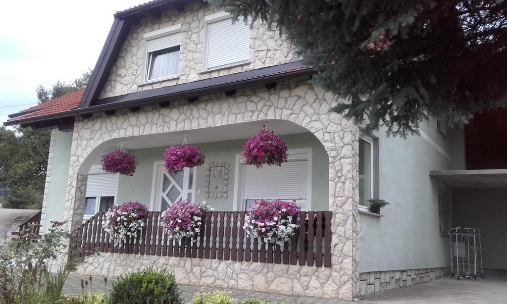 Guesthouse Miha Rakovica Exterior foto